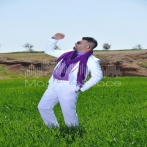 Qaed helmy sur yala.fm